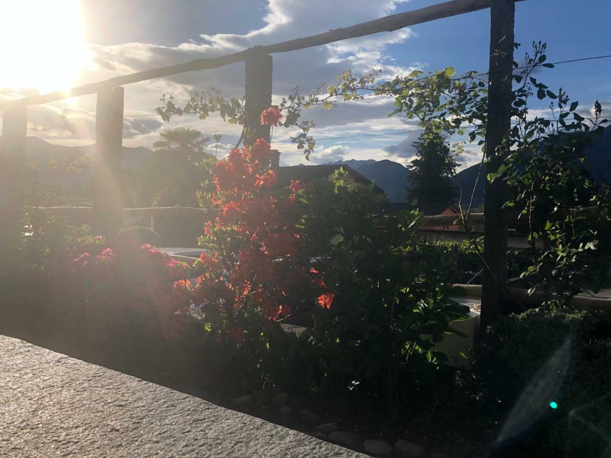 Al Grottino Bed & Breakfast Gambarogno Exterior photo